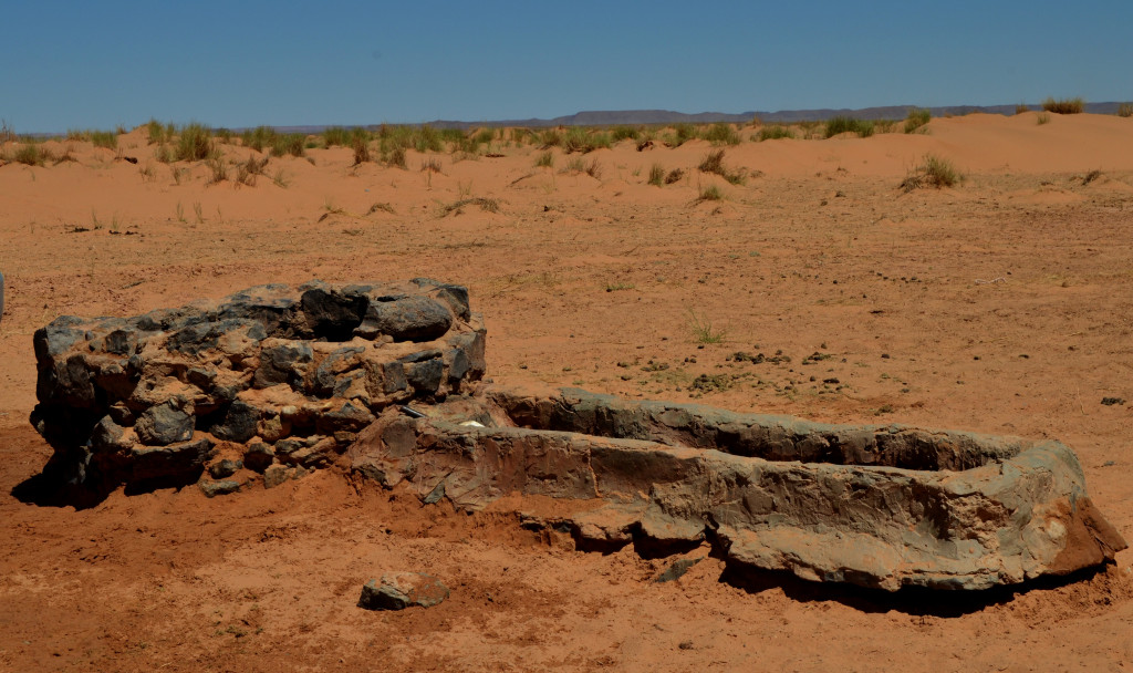 Diuen que el més bonic del desert és que en algun lloc amaga un pou