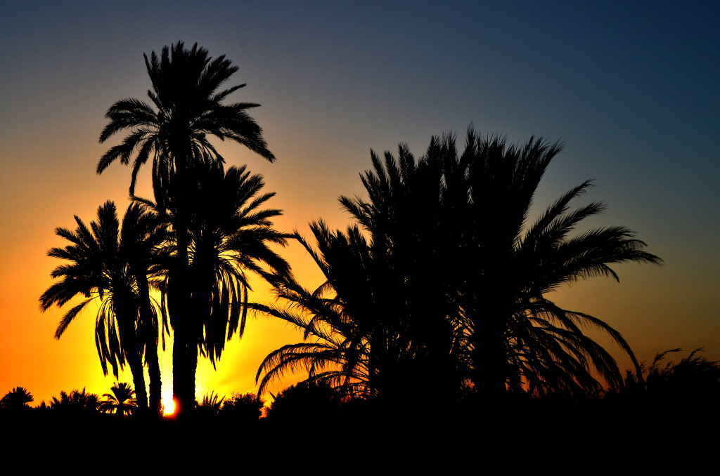 La posta de sol en les zones de cultiu d'Ouarzazate.
