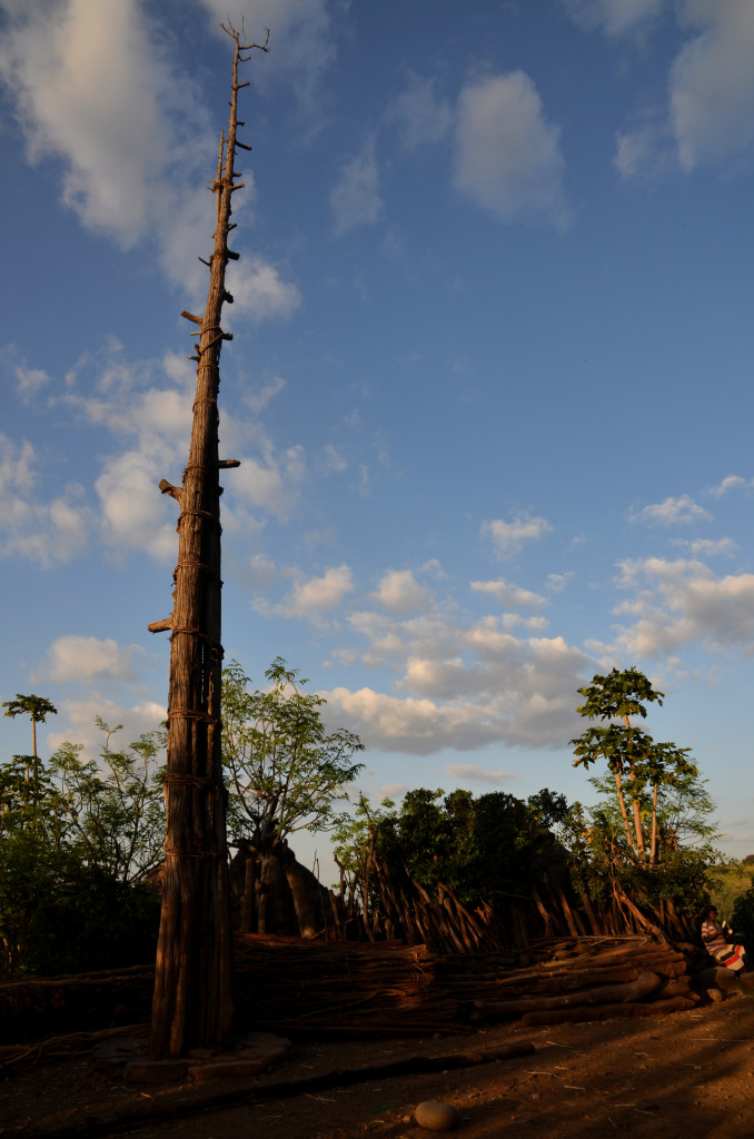 Monument fet amb troncs que representa als Reis dels Konso