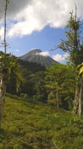 La verdor de Costa Rica als peus del volcà Arenal