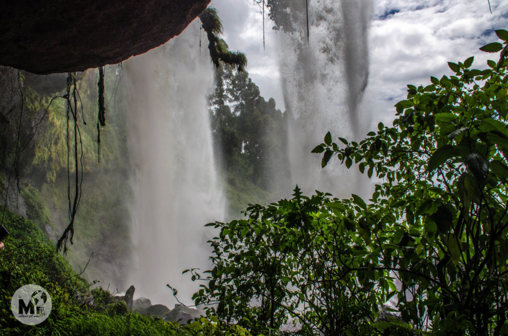 Vista desde la cova de la segona cascada de Sipi Falls