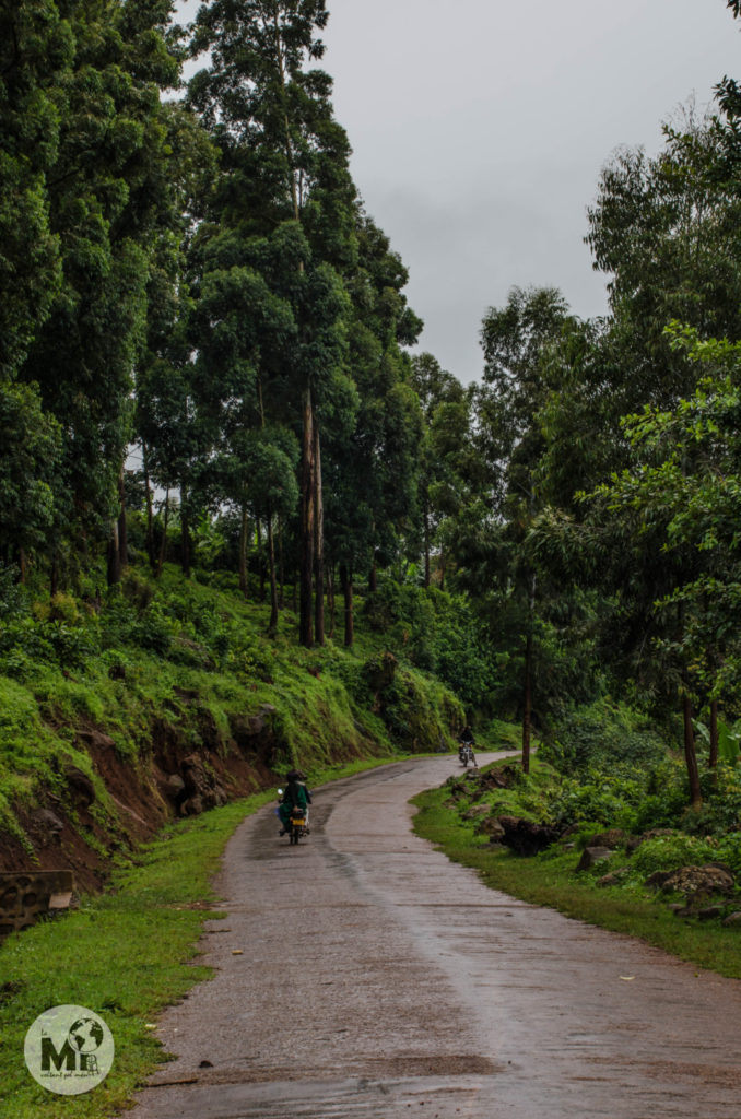 La primera part del trekking discorre per una carretereta que s'enfila i per la que passa alguna motocicleta de tant en tant.