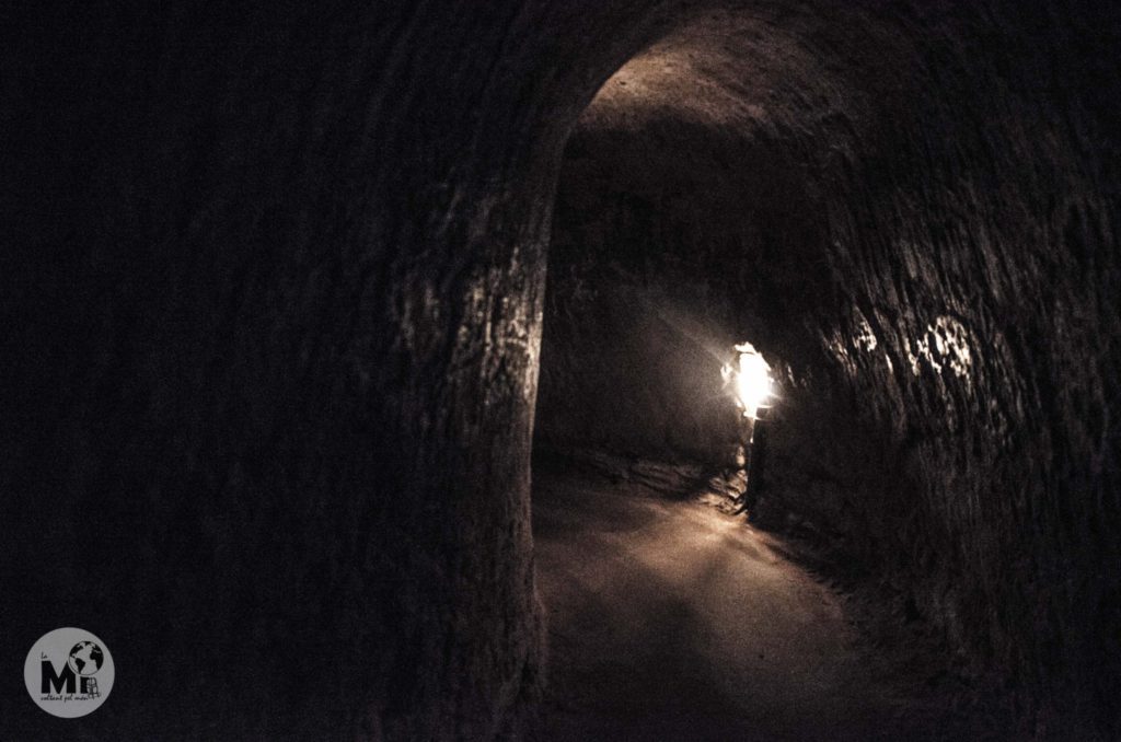 Els túnels son de fang i son sinuosos. Cada 10 metres trobem una sortida a l'exterior