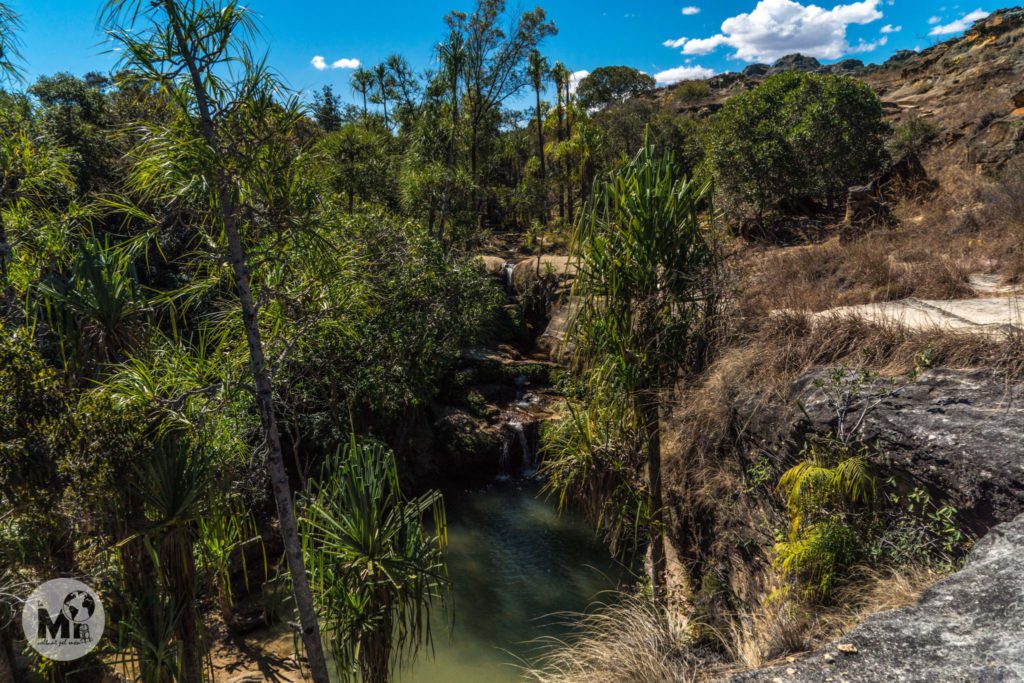 La piscina natural amb el seu jardí salvatge que ens crida perquè ens hi anem a banyar