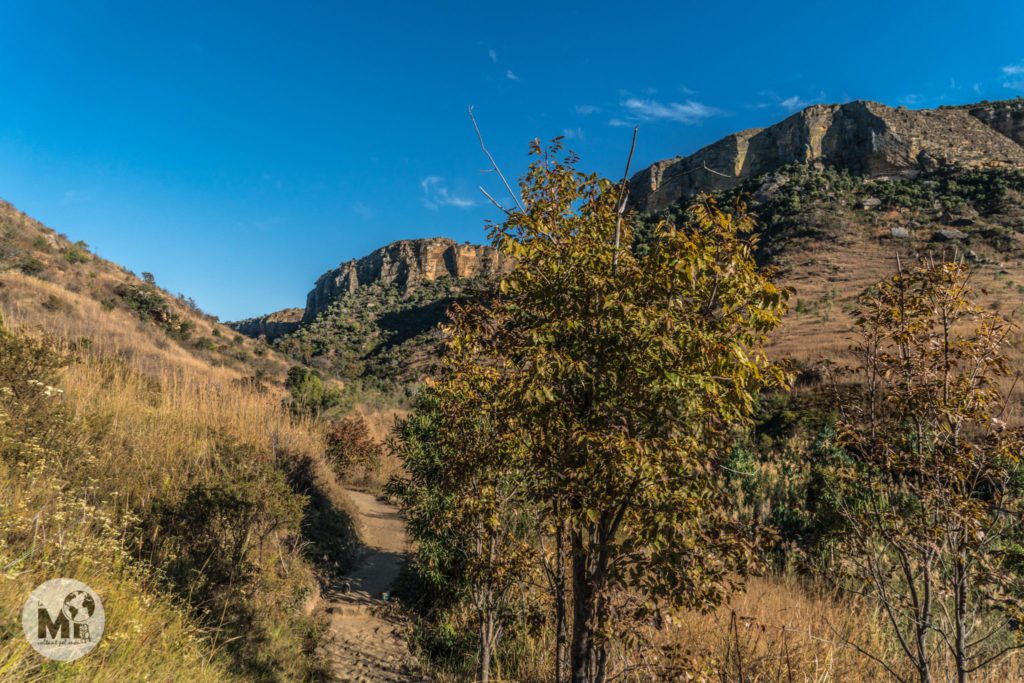 Des de l'aparcament, enfilem un camí que ens acosta a la zona on farem el trekking