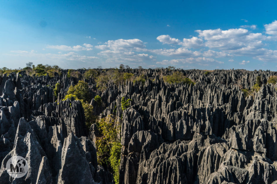 mpena_MADAGASCAR-402