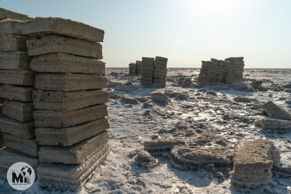 Els blocs de sal que normalment extreuen els afar en la zona i son transportats en dromedaris