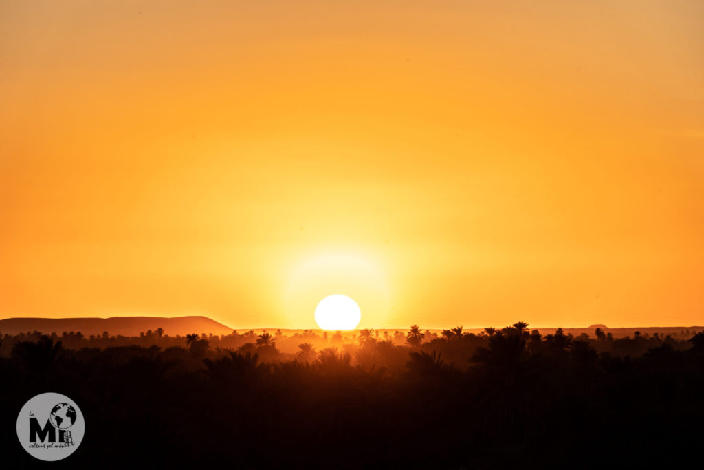 Posta de sol sobre el palmeral del Nil